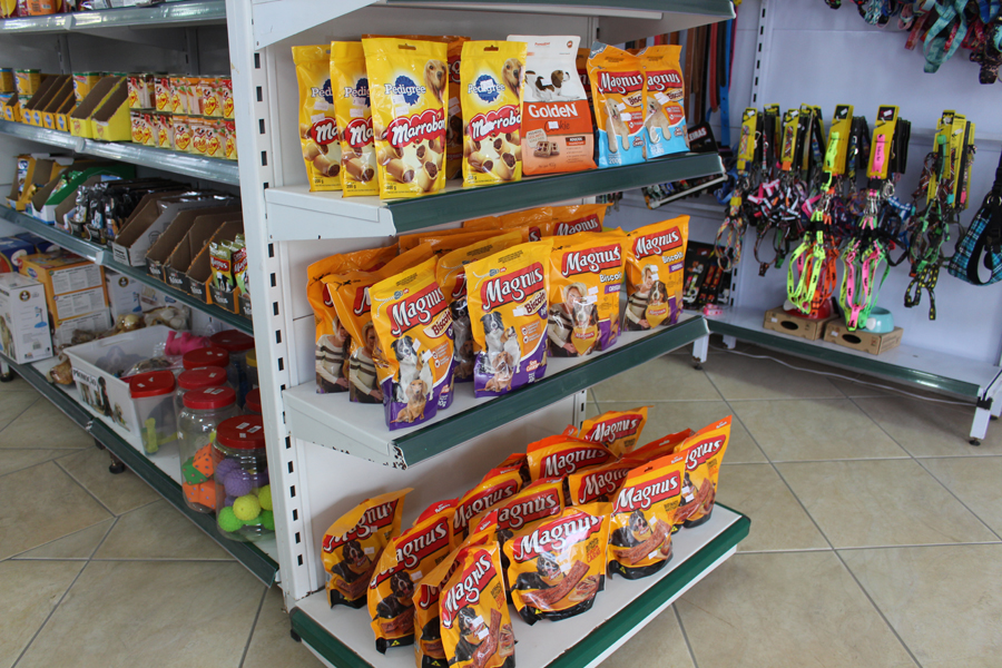 Notre Dame I Pet Shop